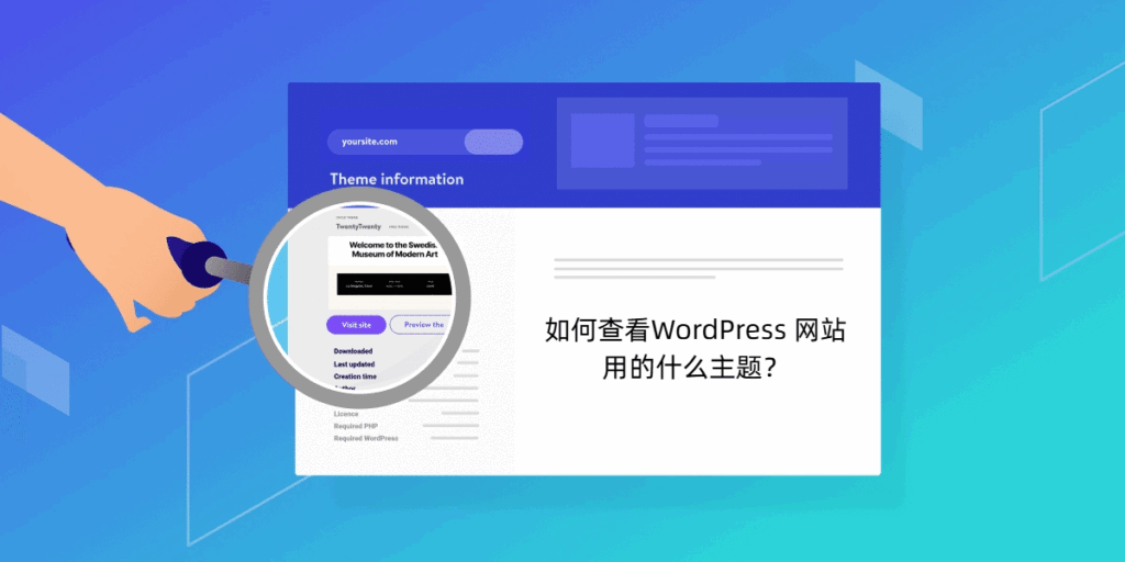 wordpress theme viewer