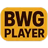 WordPress 外贸建站主机推荐与实战教程 6 bwgplayer logo 100
